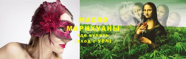 винт Ельня