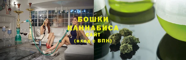 винт Ельня