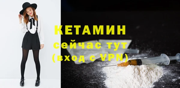 винт Ельня