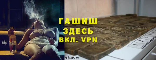 винт Ельня
