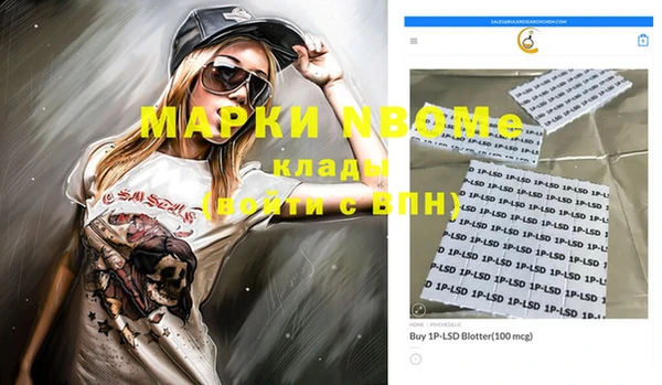 винт Ельня