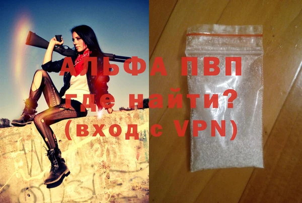 винт Ельня