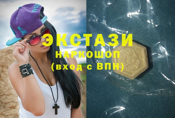 винт Ельня
