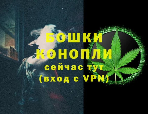 ГАЛЛЮЦИНОГЕННЫЕ ГРИБЫ Елабуга