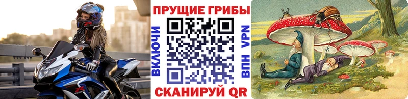 Псилоцибиновые грибы GOLDEN TEACHER  Купить где  Могоча 